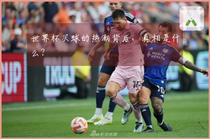 世界杯买球的热潮背后，真相是什么？