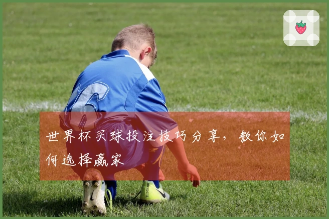 世界杯买球投注技巧分享，教你如何选择赢家