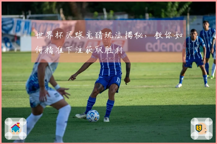 世界杯买球竞猜玩法揭秘，教你如何精准下注获取胜利