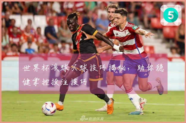 世界杯滚球买球技巧揭秘，助你稳健掌控投注技巧