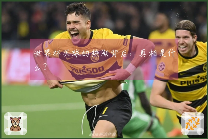 世界杯买球的热潮背后，真相是什么？