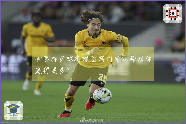 世界杯买球有哪些窍门可以帮助你赢得更多？