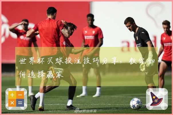 世界杯买球投注技巧分享，教你如何选择赢家